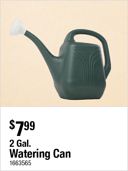 2 Gal. Watering Can
